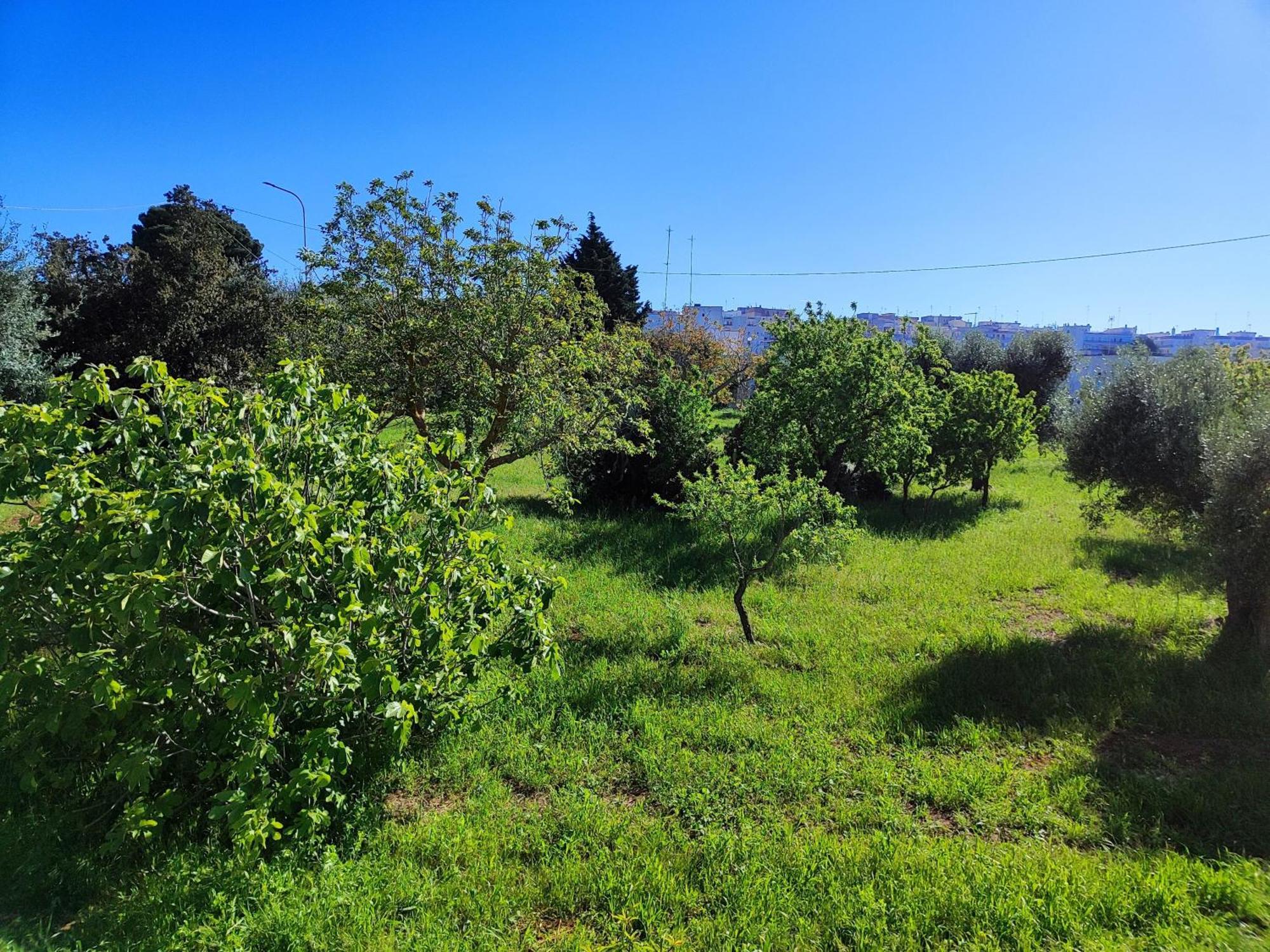 Holiday home Casa Dori